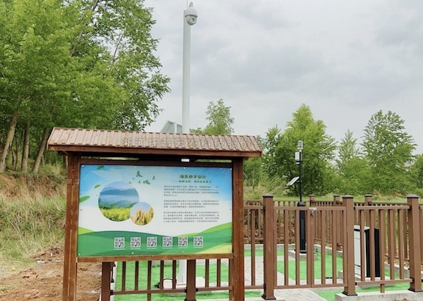 走進國家級油菜夏繁基地，感受科技賦能蓬勃動力