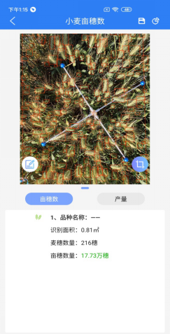 小麥畝穗數(shù)測量系統(tǒng)計算結果
