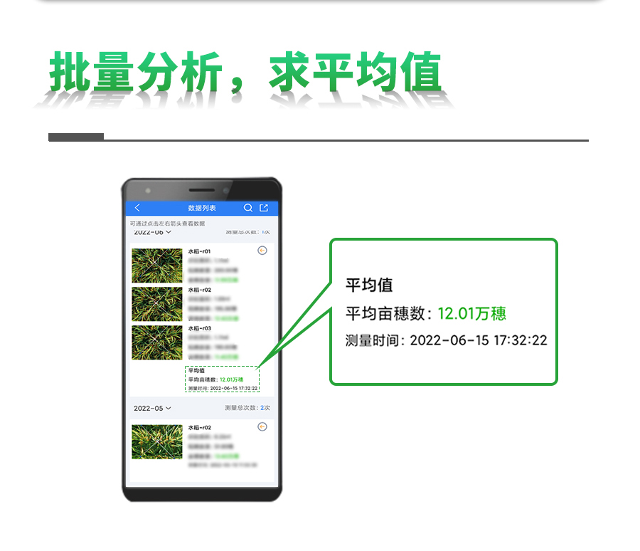 水稻畝穗數測量系統