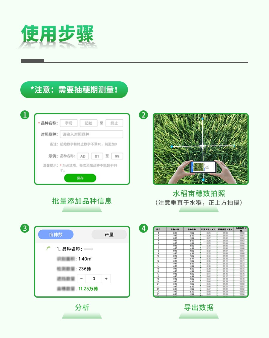 水稻畝穗數測量系統