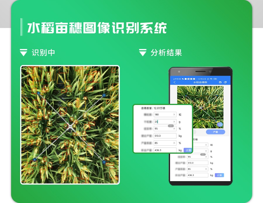 水稻畝穗數測量系統
