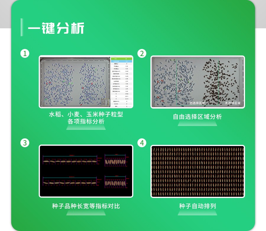 智能考種分析系統
